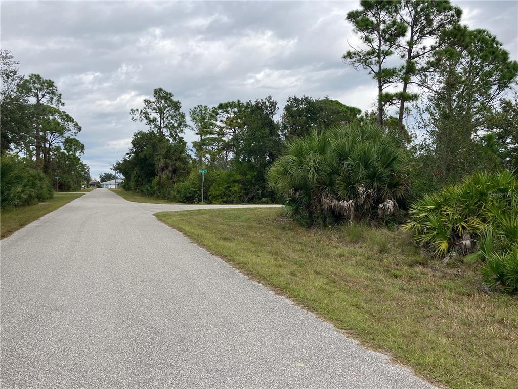 A paved road curves through a wooded, undeveloped residential lot with native Florida vegetation — 4363 SCHNEIDER STREET, PORT CHARLOTTE, FL