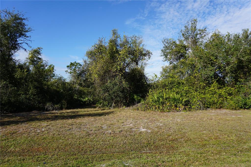 323 HIRAM STREET, PUNTA GORDA, FL — photo 2 of 30