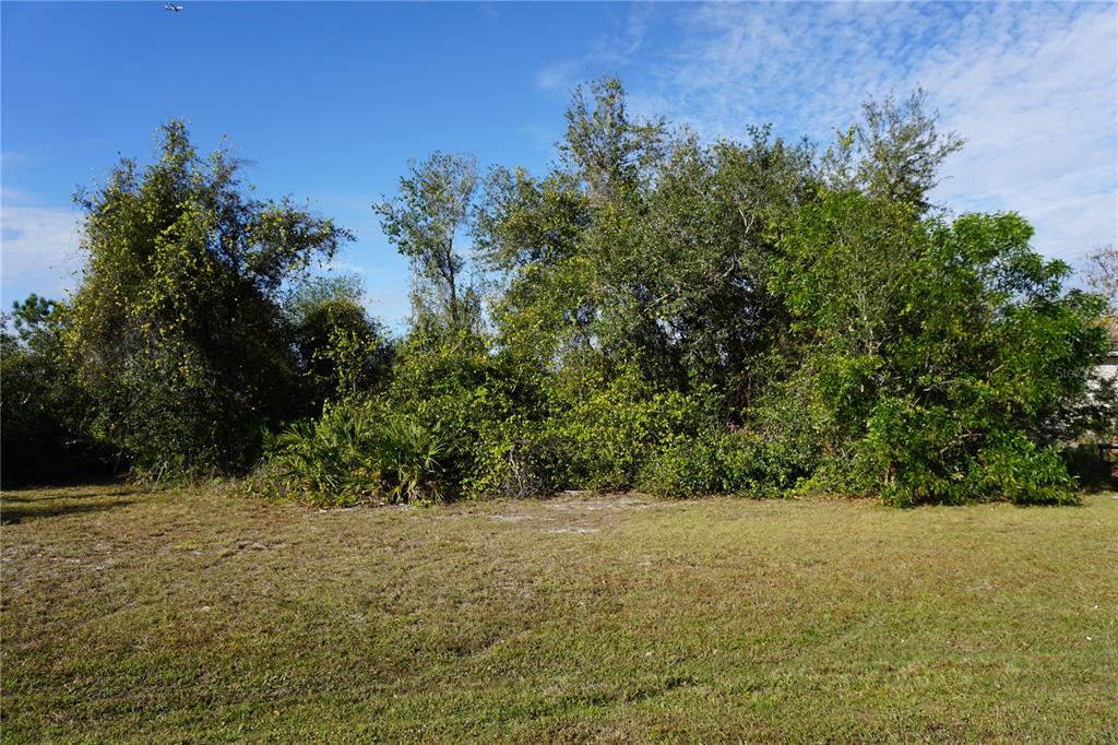 323 HIRAM STREET, PUNTA GORDA, FL — photo 3 of 30