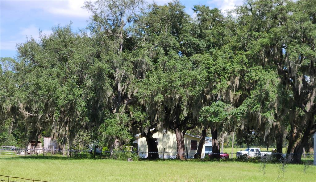 A small yellow house sits behind a line of large, moss-covered oak trees — 20826 SUNRIDGE ROAD, GROVELAND, FL