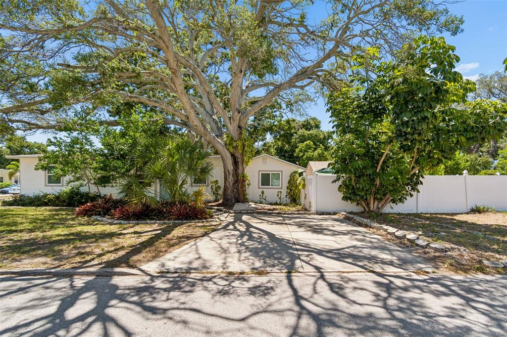 A single-story house with a large tree in the front yard and a concrete driveway — 4601 16TH AVENUE N, ST PETERSBURG, FL