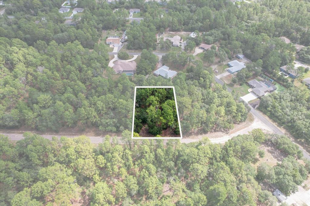 An aerial view shows a wooded, rectangular plot of land highlighted within a residential neighborhood — 3621 W NORWICK PLACE, CITRUS SPRINGS, FL