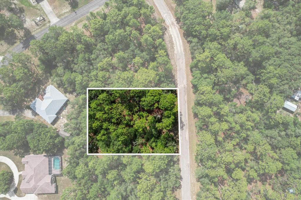 An aerial view shows a rectangular plot of wooded land highlighted within a forest setting — 3621 W NORWICK PLACE, CITRUS SPRINGS, FL