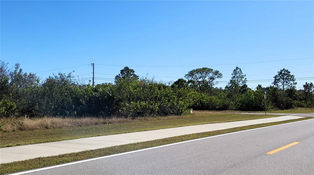 A paved road and sidewalk border a vacant lot covered in dense brush and trees — 10072 ST PAUL DRIVE, PORT CHARLOTTE, FL