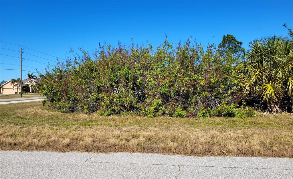 A large, dense shrubbery sits on a grassy lot next to a paved road — 10072 ST PAUL DRIVE, PORT CHARLOTTE, FL
