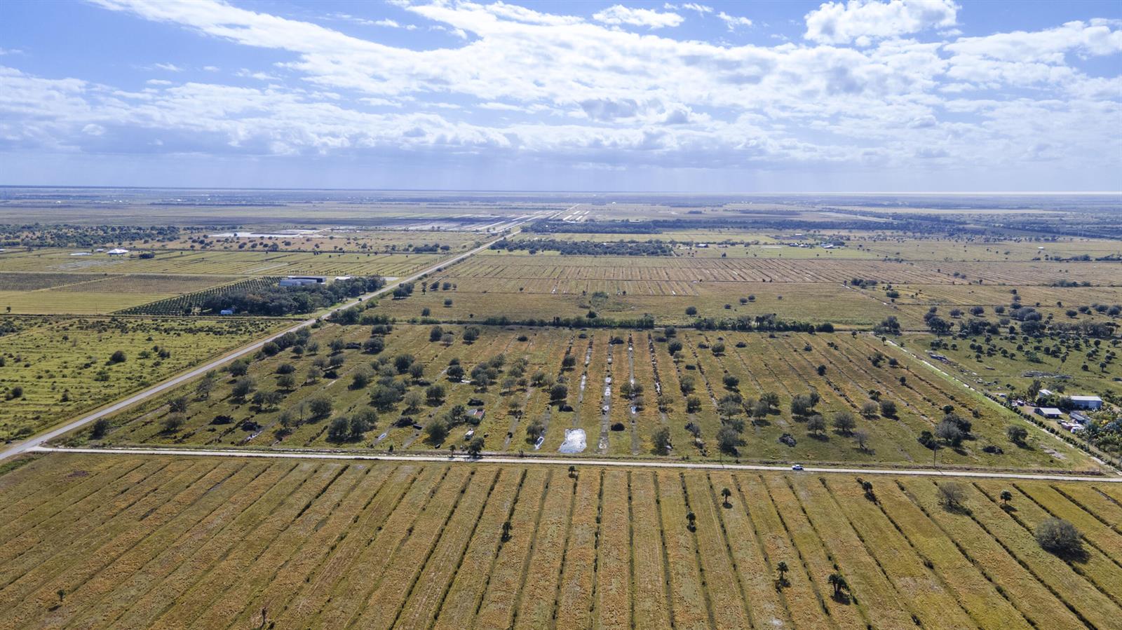 An aerial view of a large, flat agricultural landscape with rows of crops and scattered trees — 2321 Sneed Road, Fort Pierce FL 34945, FORT PIERCE, FL