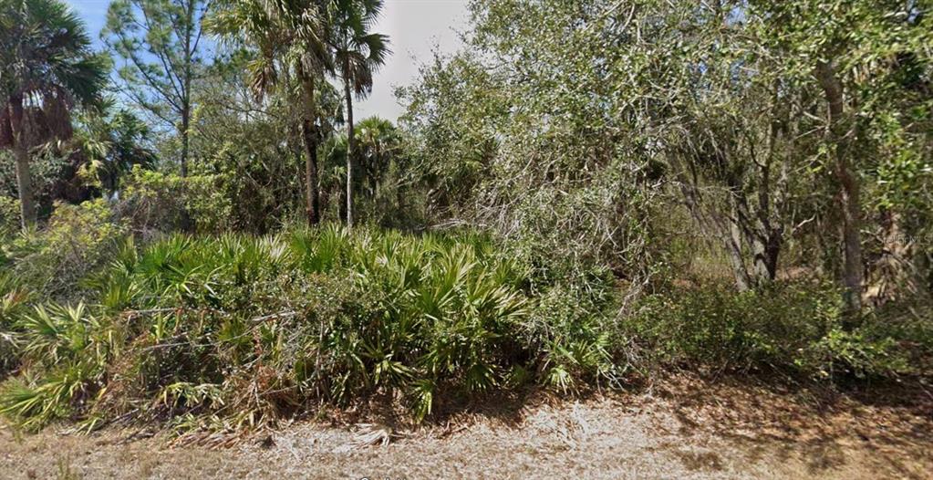 A dense, wooded lot filled with native Florida palm trees and thick underbrush — 4121 BRENDLE STREET, PORT CHARLOTTE, FL
