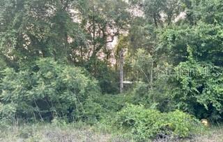 A dense, wooded lot with overgrown vegetation and mature trees under a bright sky — SE 11TH STREET, SILVER SPRINGS, FL