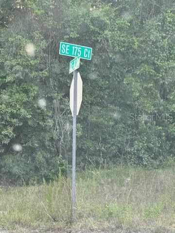 A street sign for SE 175 Ct stands in front of a dense wooded area — SE 11TH STREET, SILVER SPRINGS, FL
