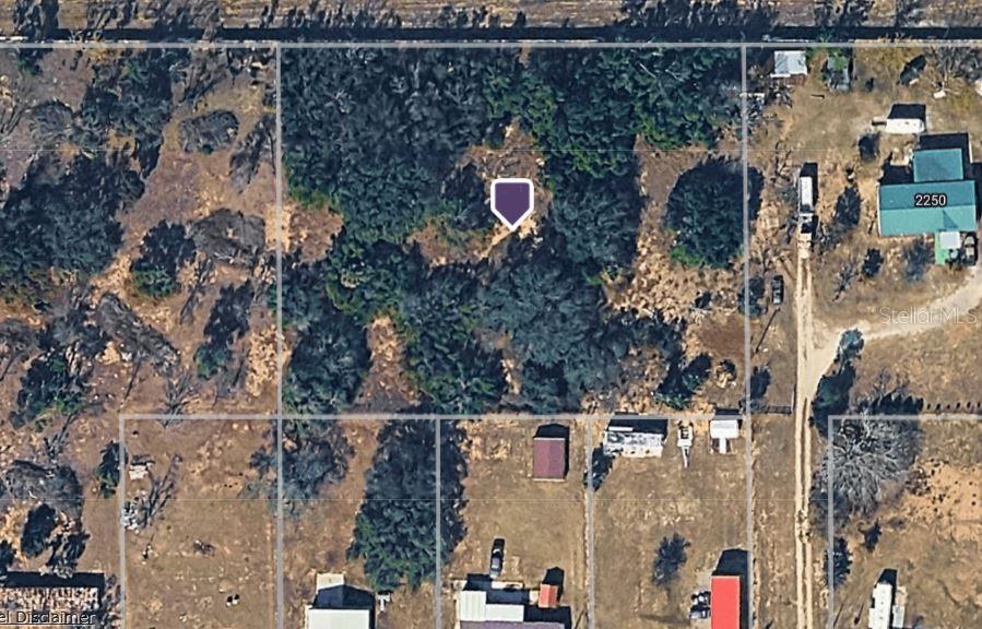 This aerial view shows a wooded, undeveloped rectangular lot with a purple location marker — 0 OLSEN ROAD, HAINES CITY, FL