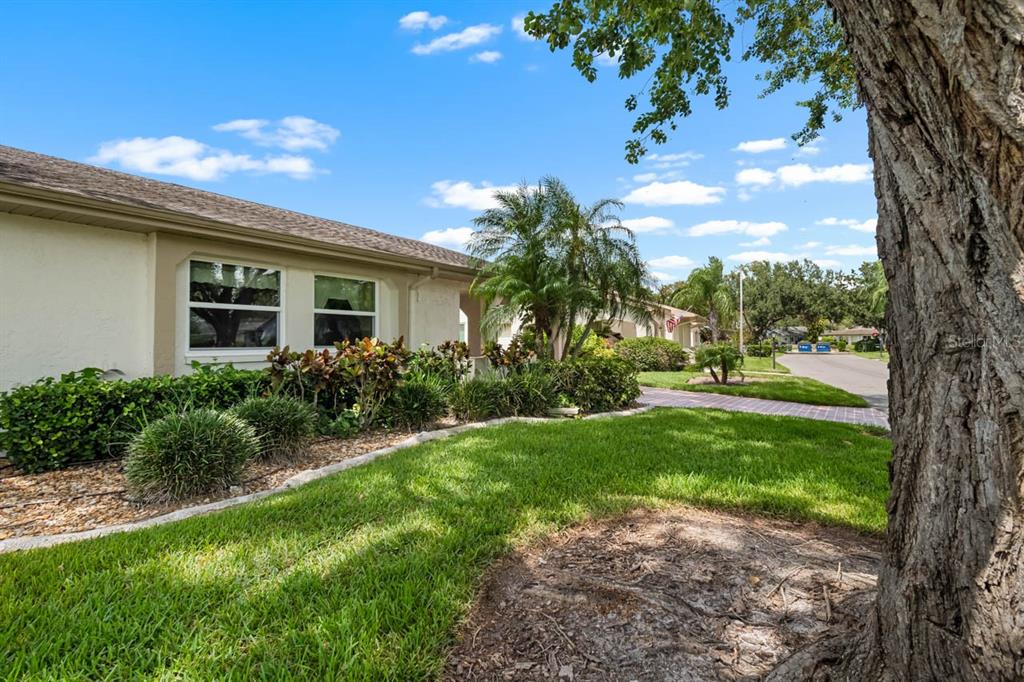 A view of a house exterior with a lawn, landscaping, and a large tree — 2109 HARLESTON PLACE UNIT 2109, SUN CITY CENTER, FL
