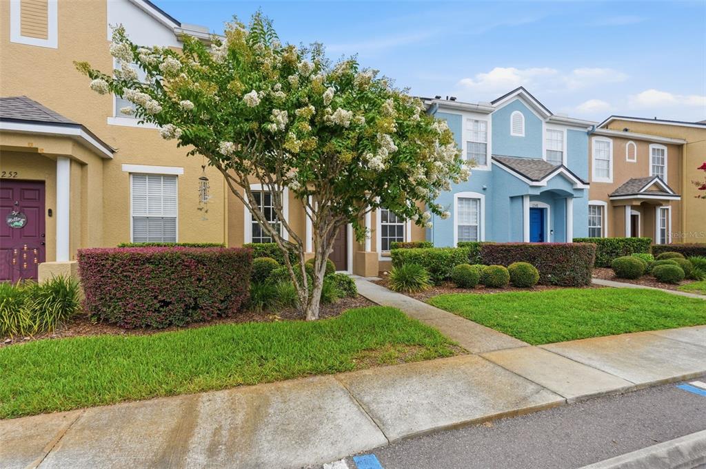 A row of colorful townhouses features manicured hedges, a flowering tree, and concrete walkways — 1250 CHARLESWORTH DRIVE, WESLEY CHAPEL, FL