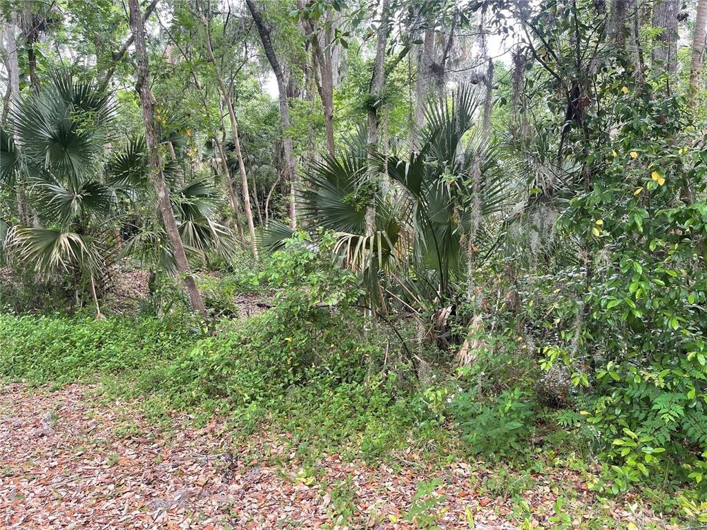 242 FRASER ROAD, DEBARY, FL — photo 4 of 13