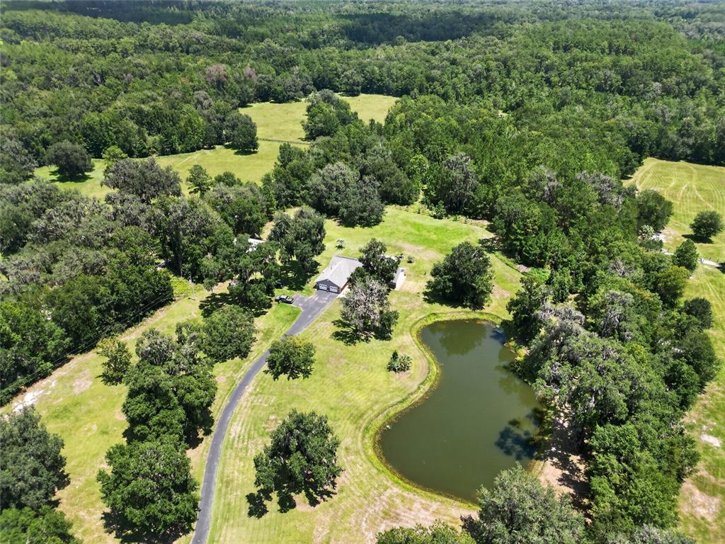 19785 NW 123RD COURT, MICANOPY, FL — photo 3 of 30