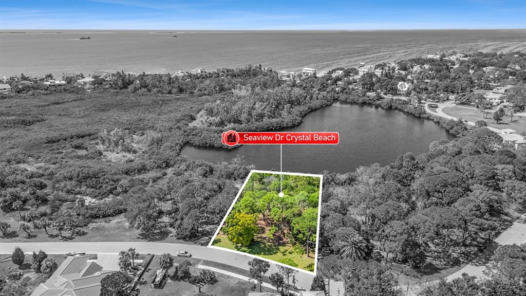 SEAVIEW DRIVE, CRYSTAL BEACH, FL — photo 5 of 24