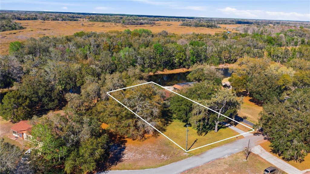 An aerial view shows a vacant, tree-covered residential lot outlined in white next to a road — 49 N ARCHWOOD DRIVE, INVERNESS, FL