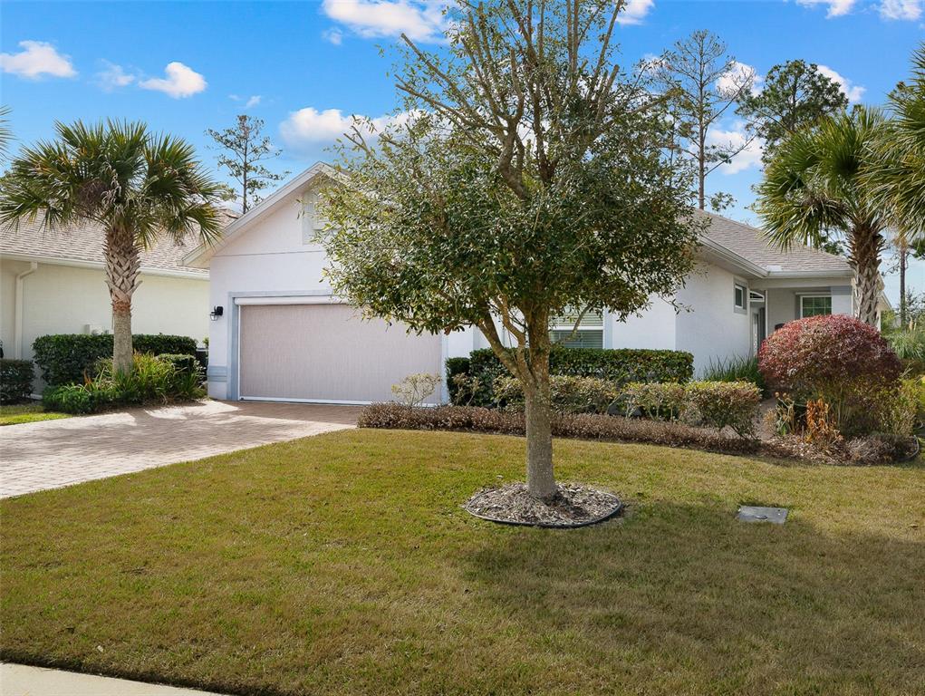 A single-story house with a white exterior, a garage, and a front yard with trees — 107 PARK PLACE CIRCLE, PALM COAST, FL
