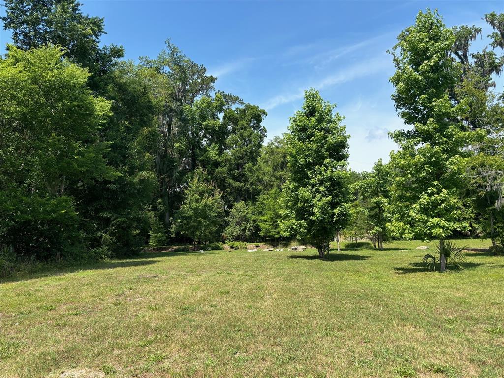 A grassy, sunlit lot is bordered by a dense line of mature trees and foliage — 2148 NW 50TH WAY, GAINESVILLE, FL