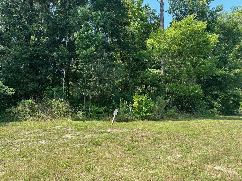 A grassy, open lot sits in front of a dense line of mature trees — 2148 NW 50TH WAY, GAINESVILLE, FL