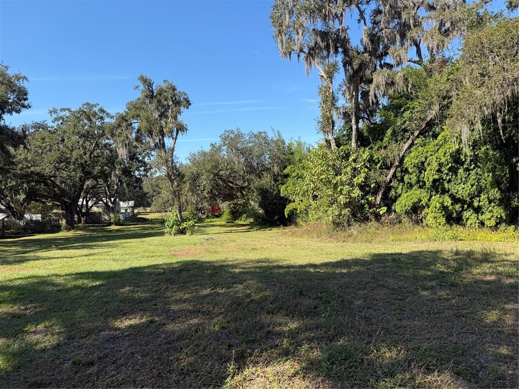 A grassy, open lot features mature trees with Spanish moss and dense surrounding vegetation — TRACT 6 WOODY LANE, DADE CITY, FL