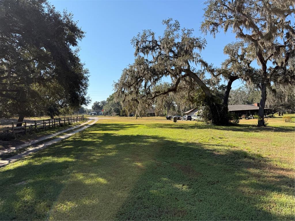 A grassy yard with large moss-draped oak trees and a dirt driveway beside a fence — TRACT 6 WOODY LANE, DADE CITY, FL