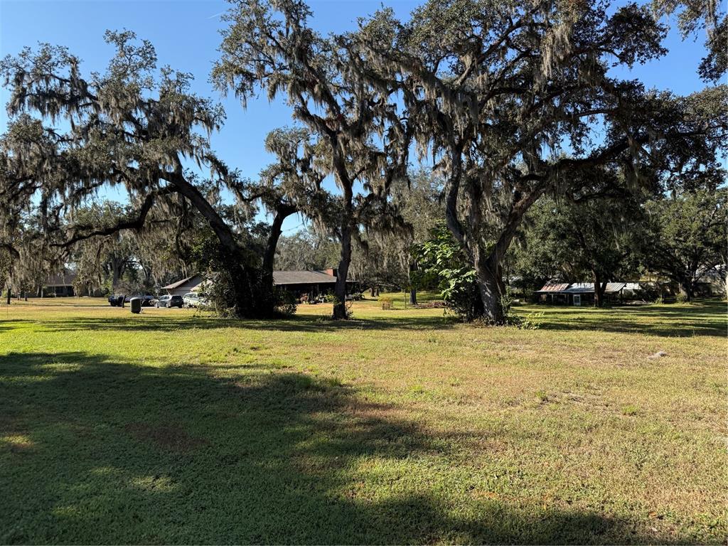 A grassy field with large oak trees draped in Spanish moss and distant houses — TRACT 6 WOODY LANE, DADE CITY, FL