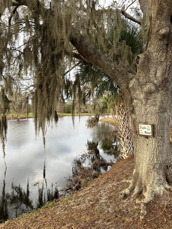 A large oak tree with Spanish moss stands beside a pond on a grassy bank — 107 HIBISCUS DRIVE, INDIAN LAKE ESTATES, FL