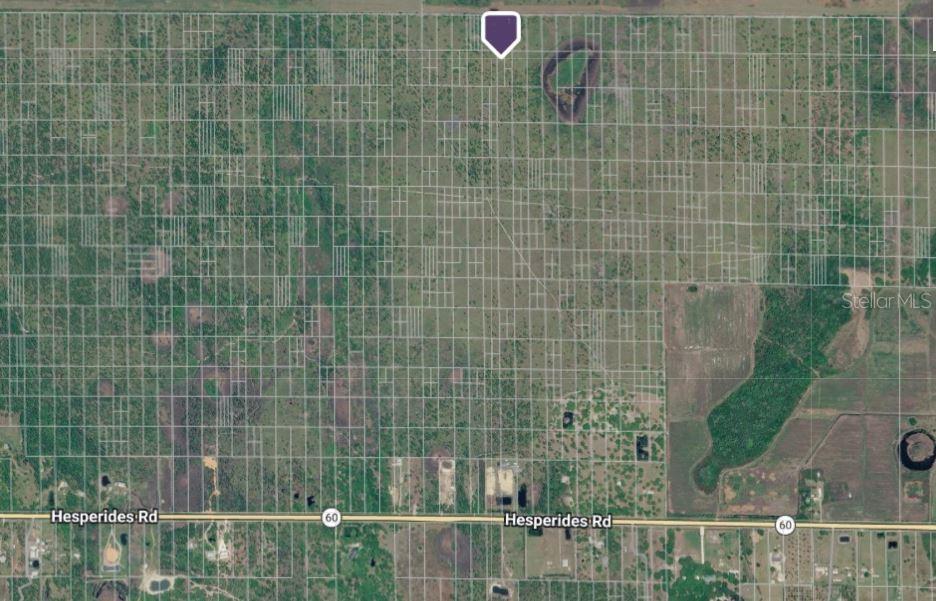 This aerial map shows a large, undeveloped tract of land divided into many small rectangular parcels — HWY 60, LAKE WALES, FL