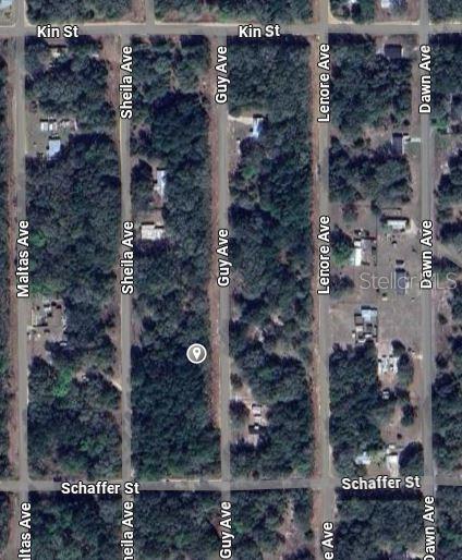 GUY AVENUE, INTERLACHEN, FL — photo 2 of 5