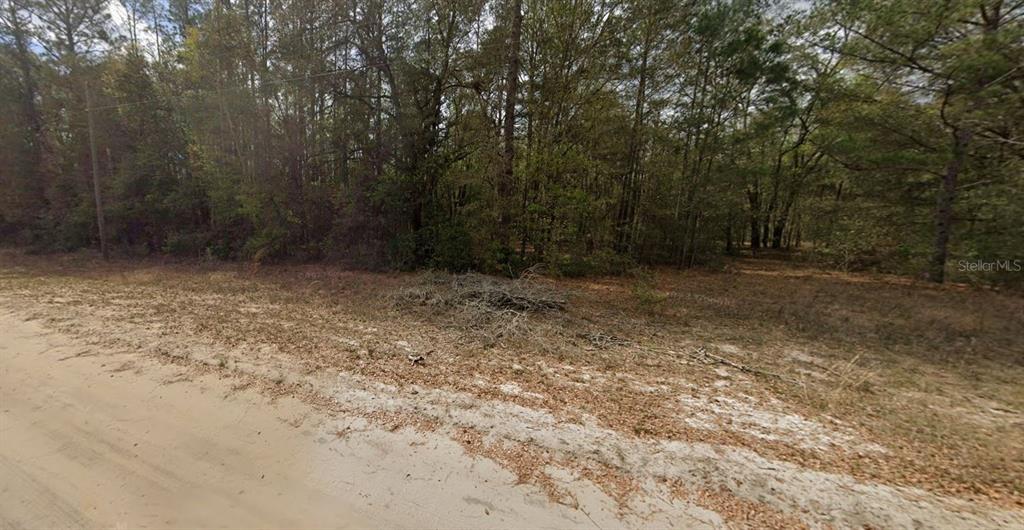 GUY AVENUE, INTERLACHEN, FL — photo 4 of 5