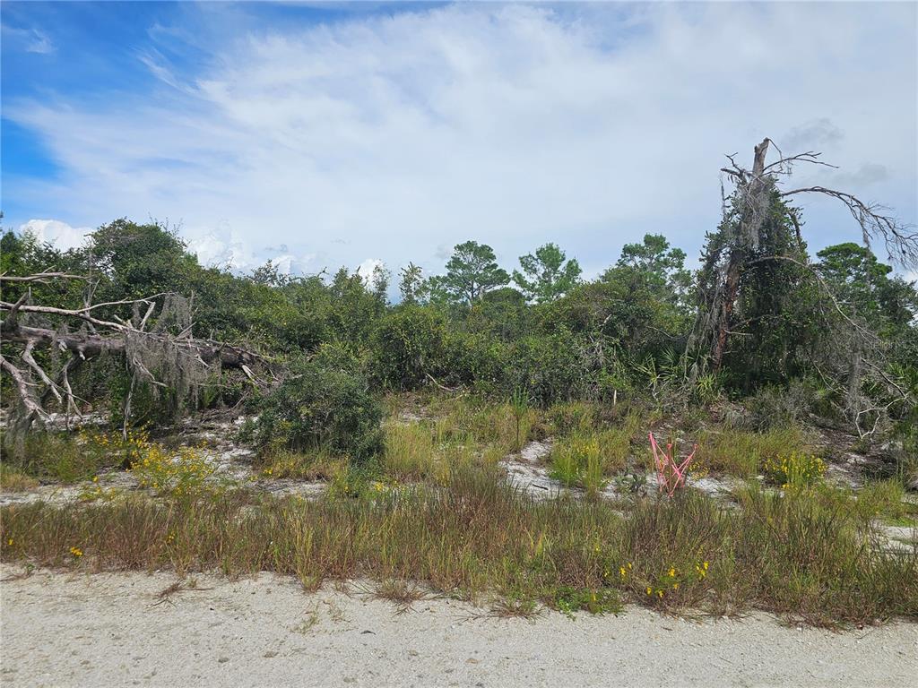 A vacant, sandy lot with native shrubs, trees, and a pink survey marker — 123 PATTON AVENUE, LAKE PLACID, FL
