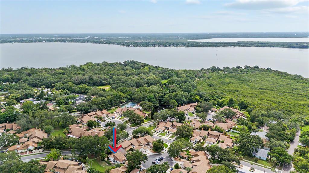 An aerial view shows a residential neighborhood with a red arrow pointing to a house — 207 LIGHTHOUSE COURT, SAFETY HARBOR, FL