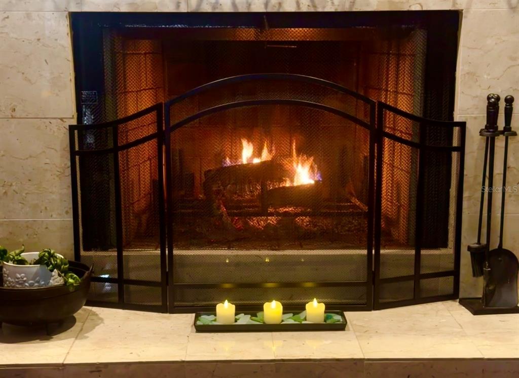 A fireplace with a black metal screen and burning logs sits on a marble hearth — 1349 HILLSIDE DRIVE, TARPON SPRINGS, FL