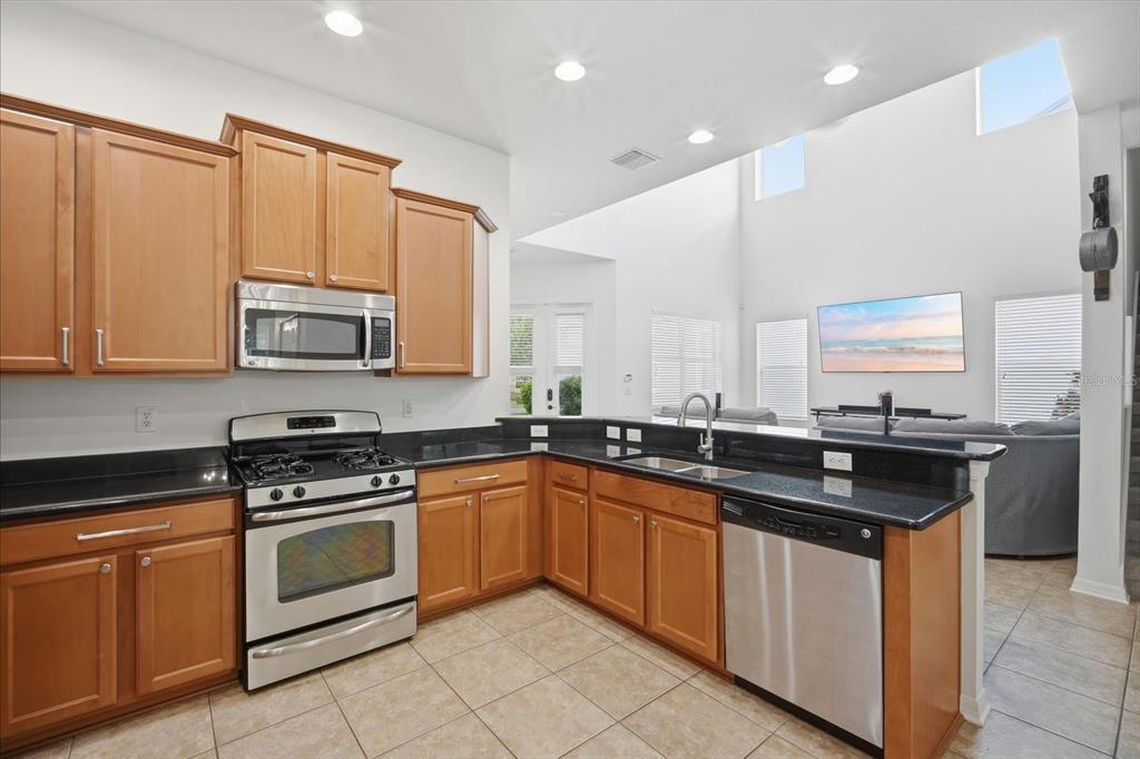 A kitchen with wood cabinets, black countertops, and stainless steel appliances overlooks a living area — 11310 WINTHROP LAKE DRIVE, RIVERVIEW, FL