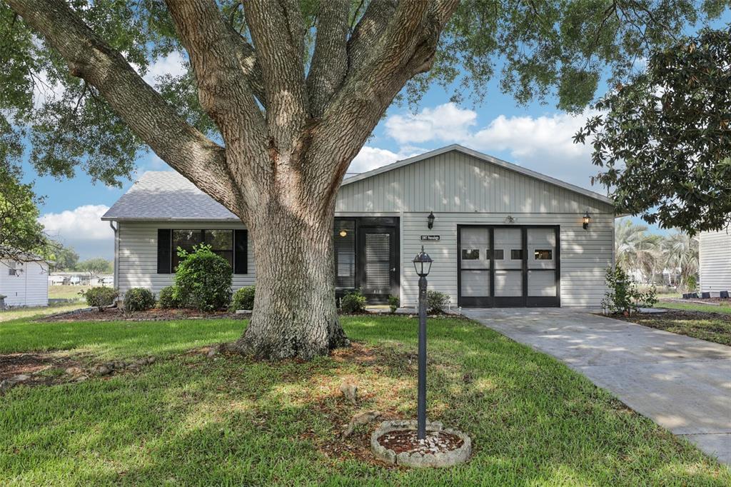 A single-story house with light gray siding, a large oak tree, and a concrete driveway — 1907 TWEED COURT, LEESBURG, FL