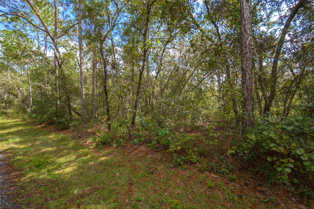 3210 E MICHAEL STREET, INVERNESS, FL — photo 2 of 21