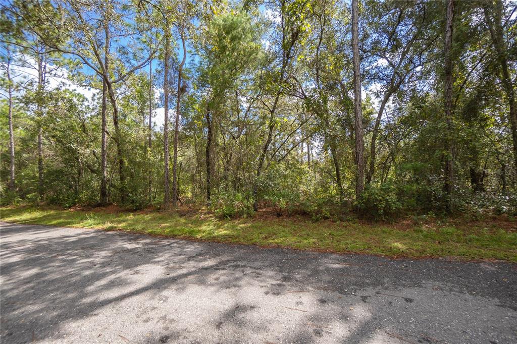 3210 E MICHAEL STREET, INVERNESS, FL — photo 3 of 21