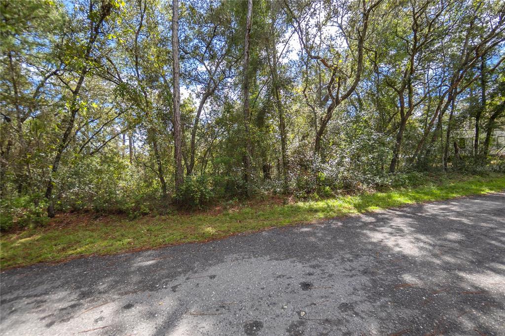 3210 E MICHAEL STREET, INVERNESS, FL — photo 4 of 21