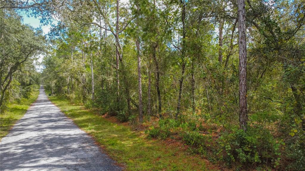 3210 E MICHAEL STREET, INVERNESS, FL — photo 5 of 21