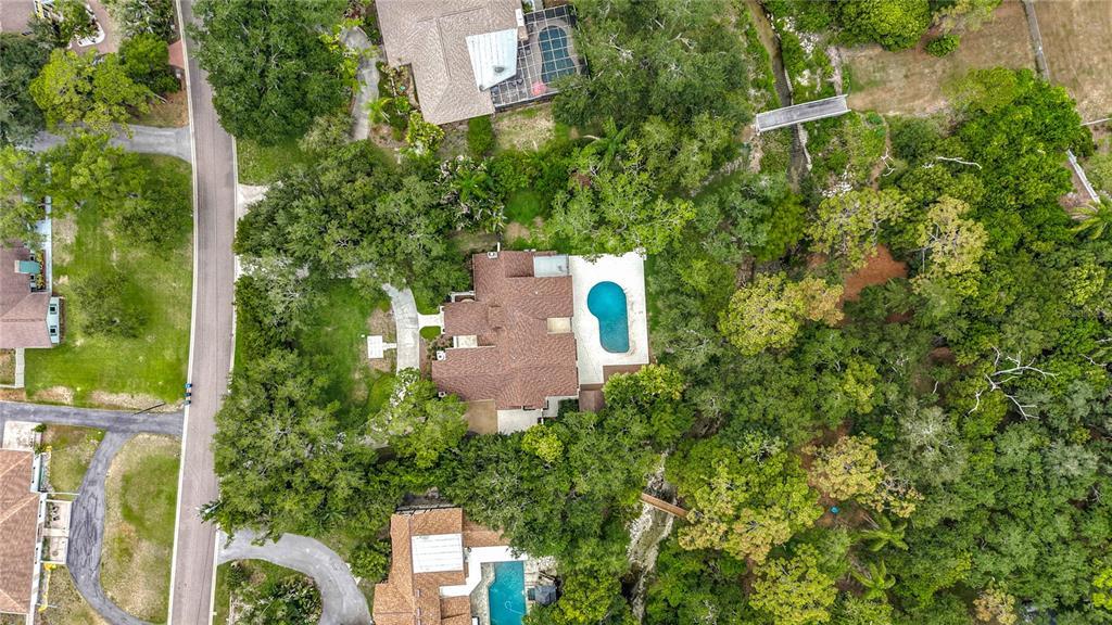 An aerial view shows a house with a swimming pool surrounded by dense trees — 1850 OAK CREEK DRIVE, DUNEDIN, FL