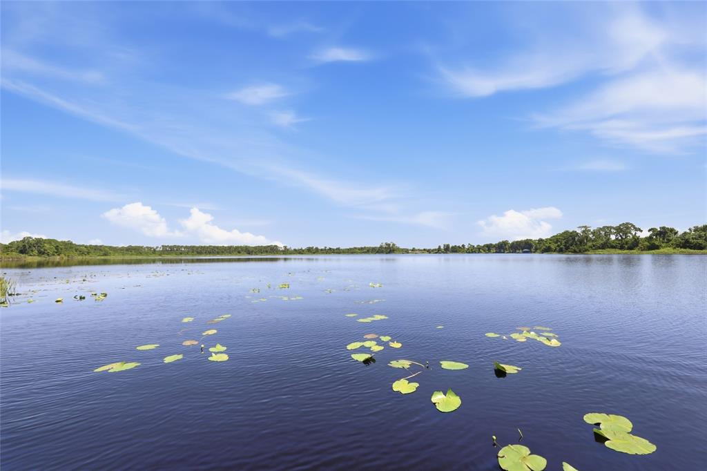 A wide, calm lake features scattered lily pads under a bright blue sky with clouds — 10692 ROYAL CYPRESS WAY, ORLANDO, FL