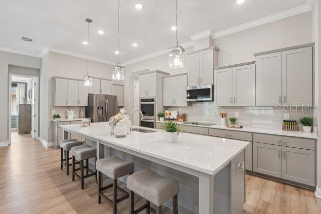 A modern kitchen features light gray cabinets, a large quartz island, and wood-look flooring — 3454 WINESAP WAY, LAKELAND, FL