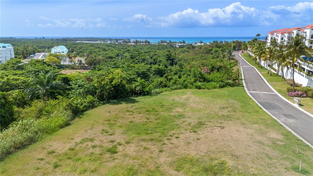 An elevated view of a grassy vacant lot next to a road and coastal vegetation — 62 LAS VISTAS, RIO GRANDE, PR