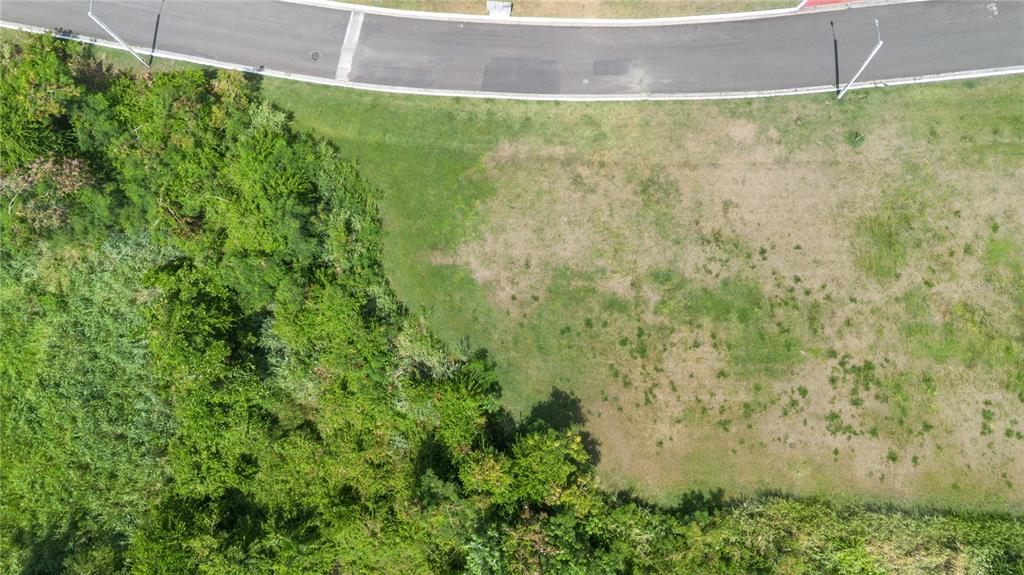 An aerial view shows a vacant, grassy residential lot bordered by a curved road and trees — 62 LAS VISTAS, RIO GRANDE, PR