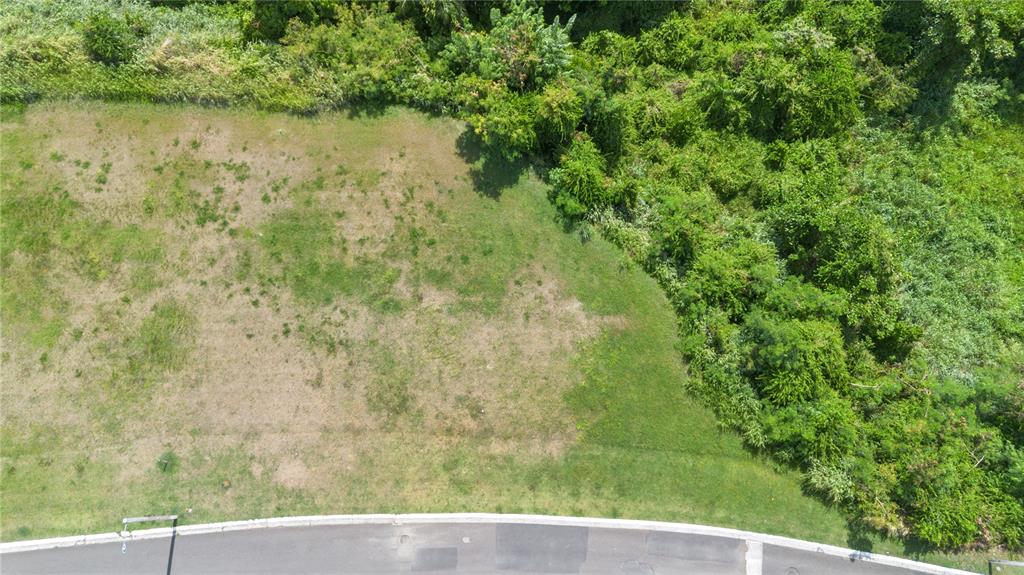 An aerial view shows a vacant, grassy residential lot bordered by dense trees and a road — 62 LAS VISTAS, RIO GRANDE, PR