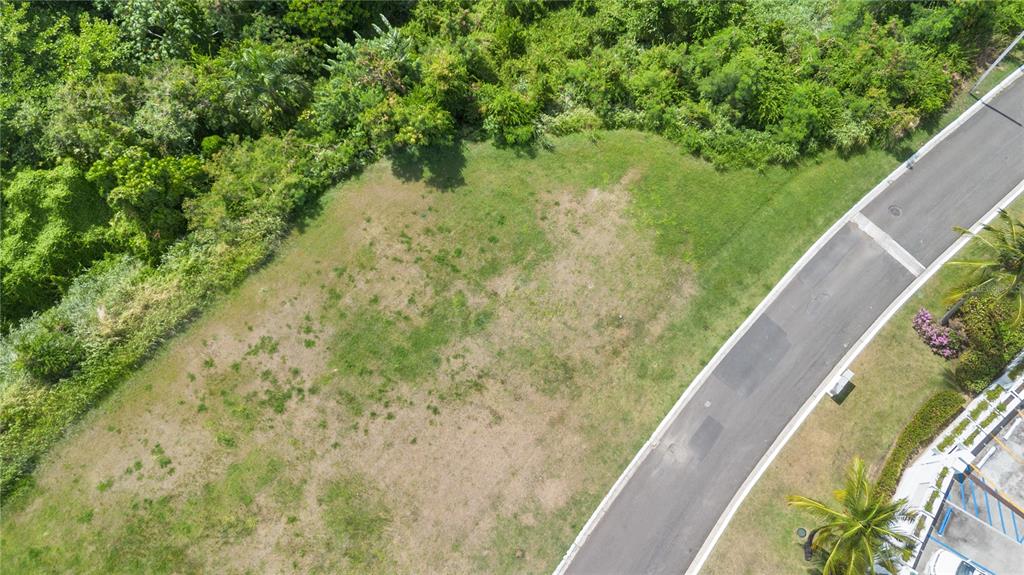 An aerial view shows a vacant, grassy residential lot bordered by a paved road and trees — 62 LAS VISTAS, RIO GRANDE, PR