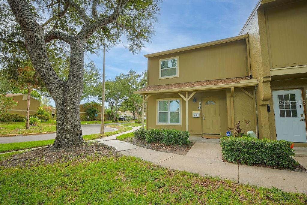 A two-story tan townhouse with a white front door and a large tree nearby — 6902 SOLEDAD COURT, TAMPA, FL