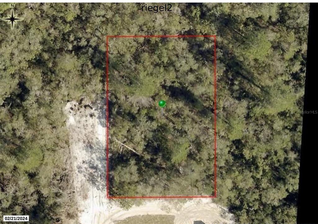 An aerial view shows a rectangular, wooded plot of land outlined in red — RIEGEL (PAPER) AVENUE, ORANGE CITY, FL