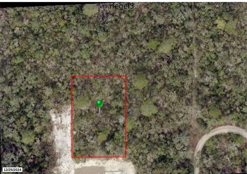 This aerial view shows a rectangular plot of land marked with a green pin — RIEGEL (PAPER) AVENUE, ORANGE CITY, FL