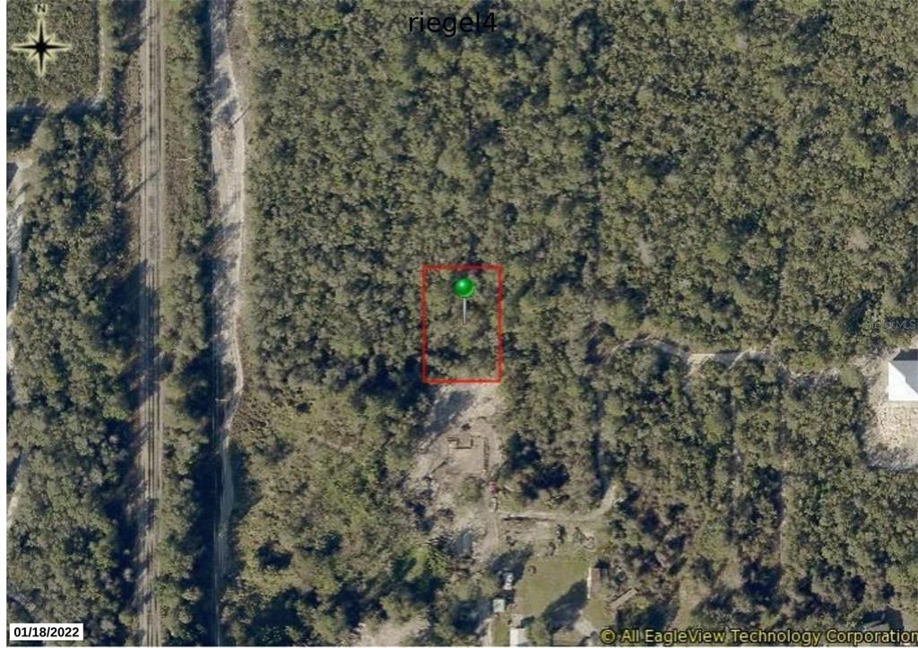 An aerial view shows a rectangular plot of land outlined in red amidst dense woods — RIEGEL (PAPER) AVENUE, ORANGE CITY, FL